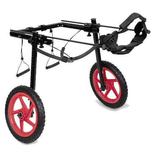 Pro Rear Support Wheelchair Large